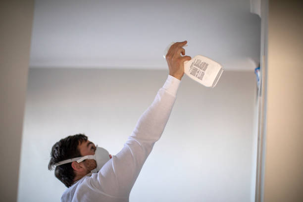 Best Mold Damage Repair  in Ferry Pass, FL