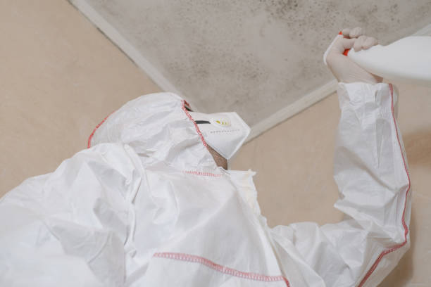 Best Crawl Space Mold Removal  in Ferry Pass, FL